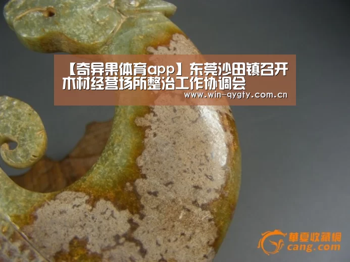 【奇异果体育app】东莞沙田镇召开木材经营场所整治工作协调会(图3) 奇异果体育app